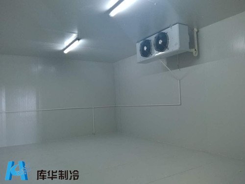 中科佑隆醫藥冷庫建造工程案例（冷藏+冷凍）