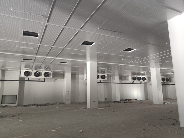 存200噸貨需要多大面積冷庫？造價多少？